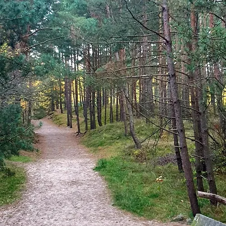 펜션 Major S - 그단스크