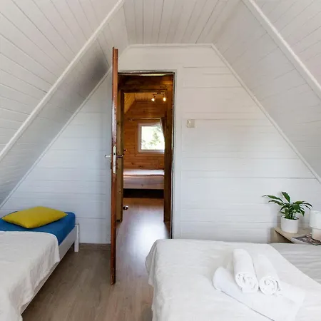 Tatil Evi Major S - *