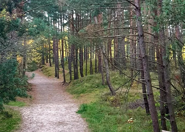 בית נופש Major S - גדנסק